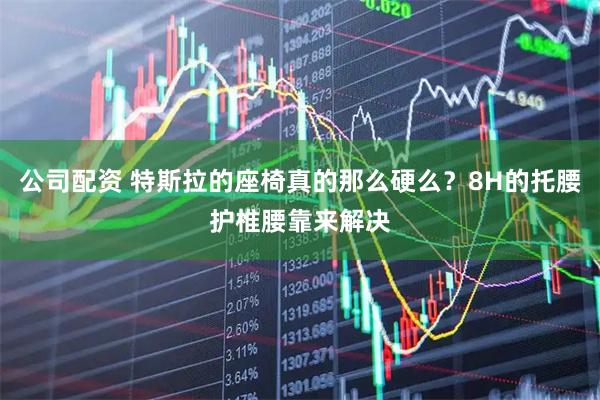 公司配资 特斯拉的座椅真的那么硬么?8H的托腰护椎腰靠来解决